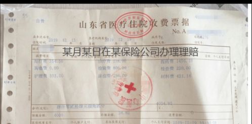 人保壽險全方位服務指南 保單查詢、驗真、發票與理賠